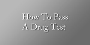 Hair Drug Test Pass
