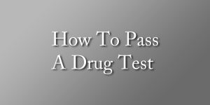 Hair Drug Test Pass